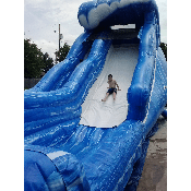 Wild Wave Water Slide